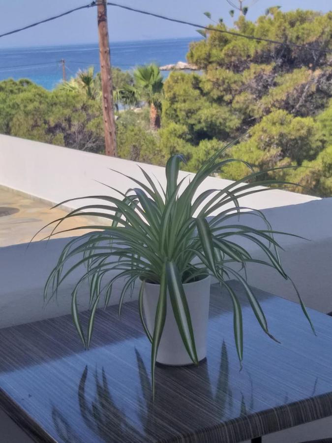 Apartmán Meltemi Posidhonía Exteriér fotografie